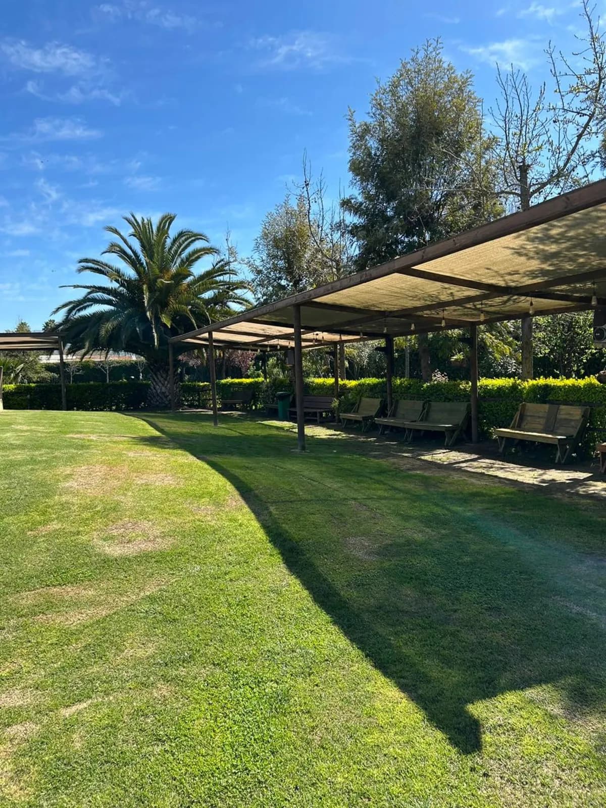 Zona de descanso con hamacas